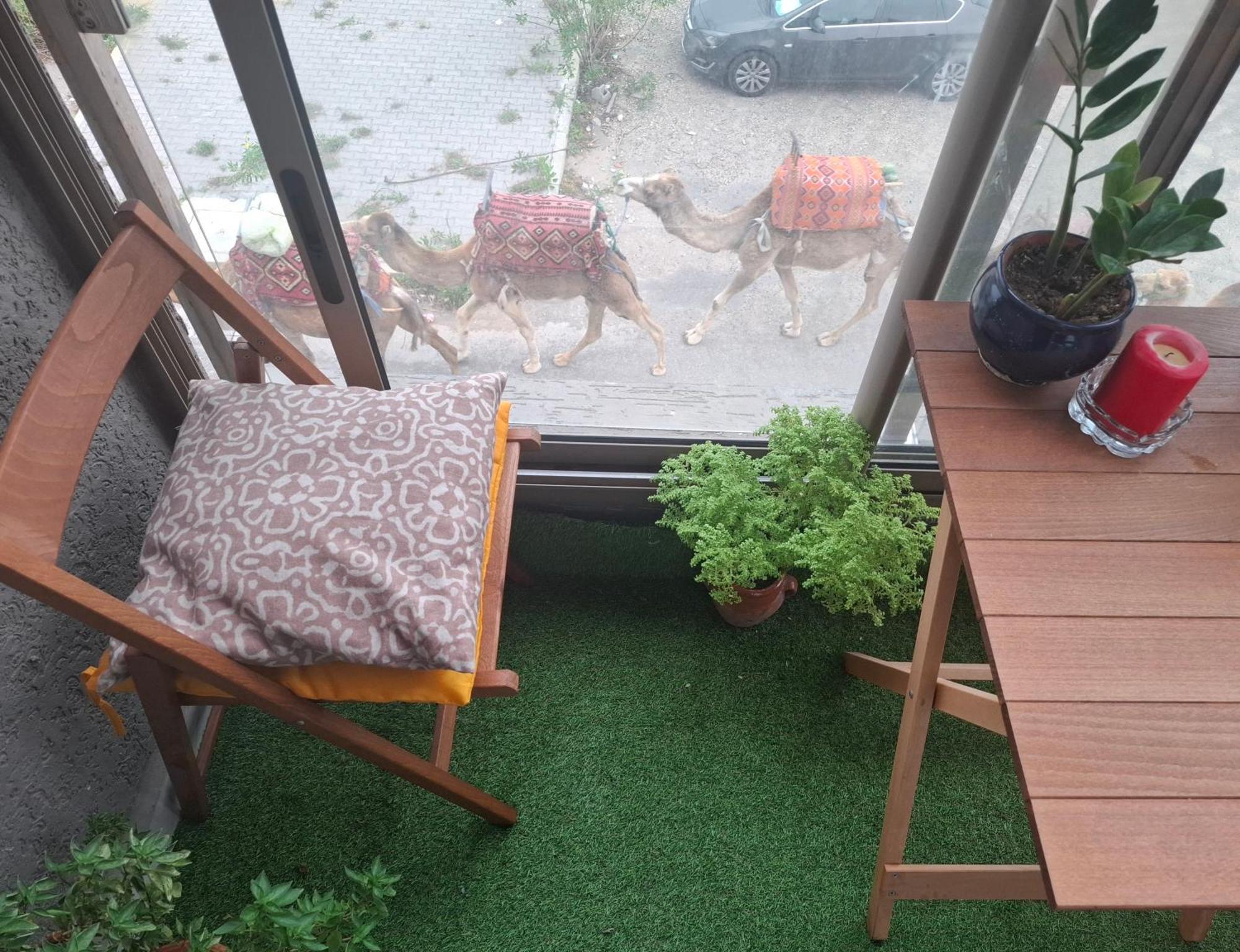Azur Appartement Εσαουίρα Εξωτερικό φωτογραφία
